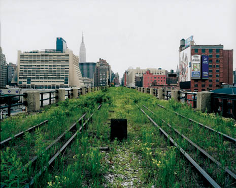 NY Elevated Landscapes