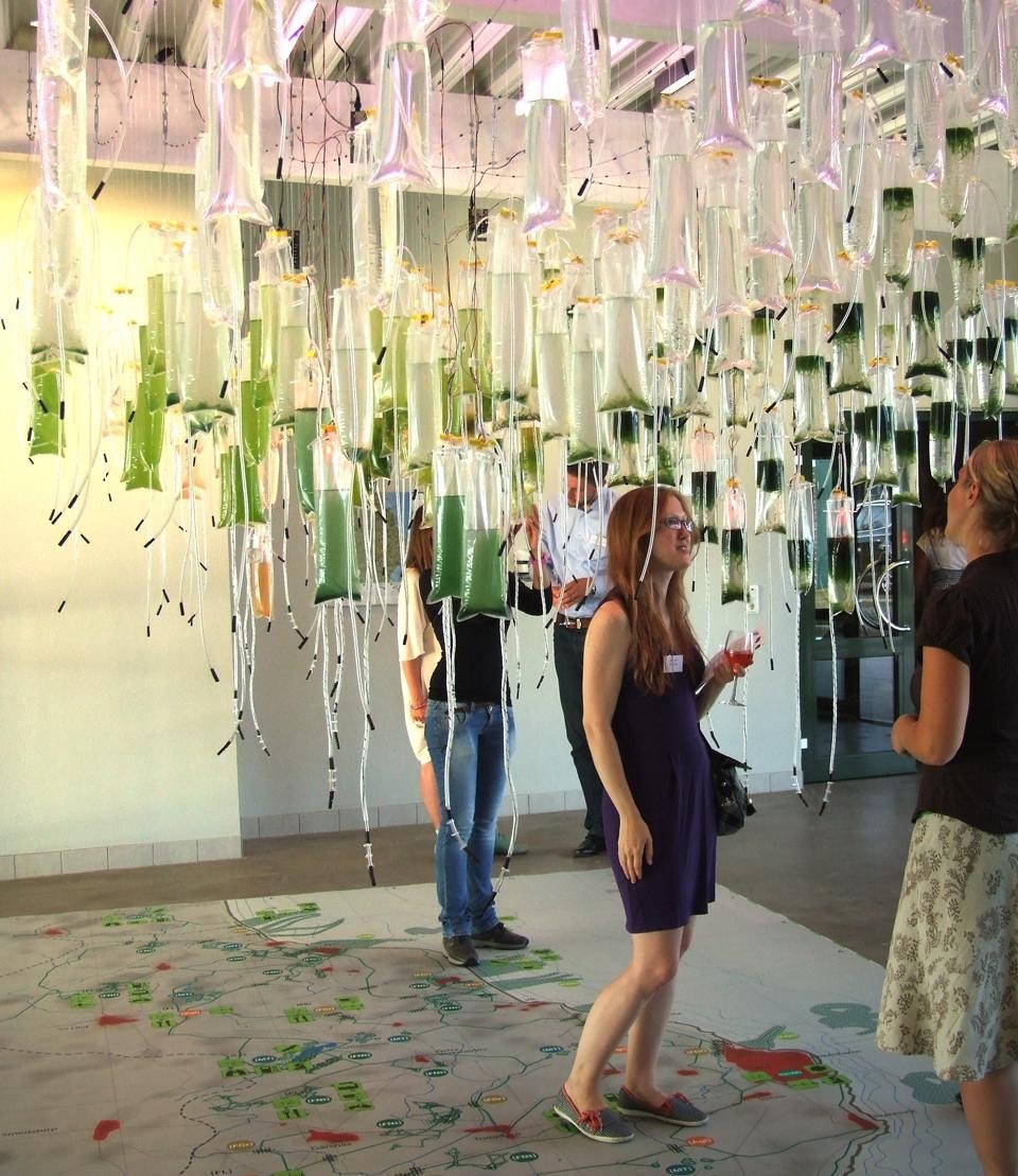 The Algae Hanging Gardens prototype invites visitors to experience the photosynthesis of algae and contribute to the cultivation of the project.