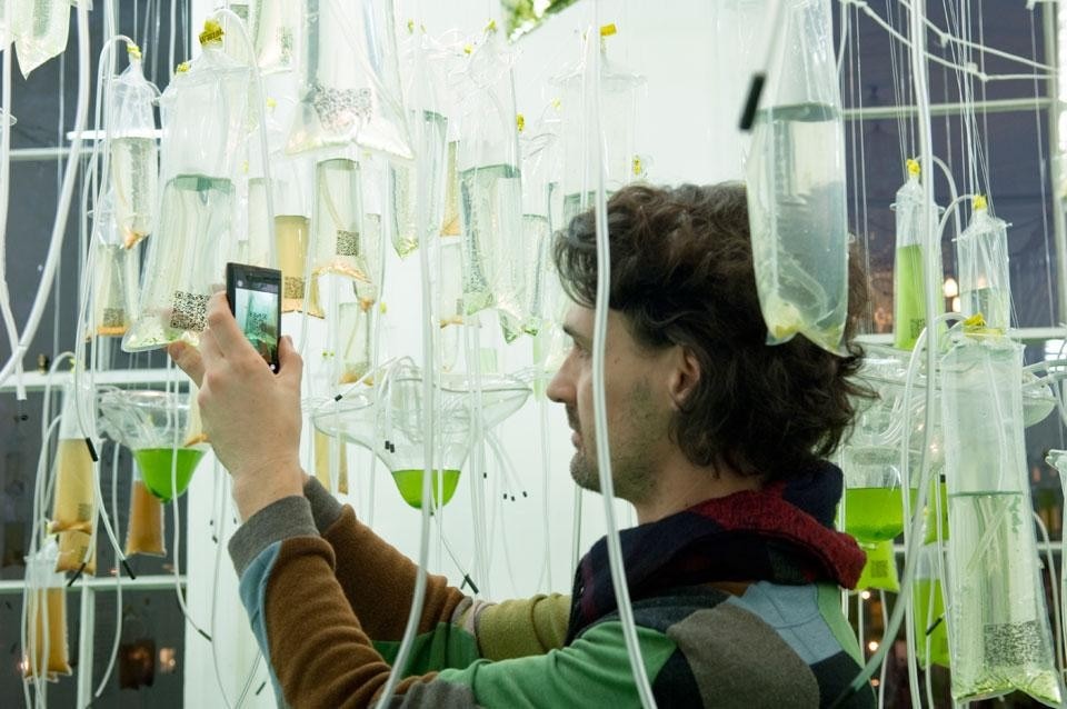 At the H.O.R.T.U.S. installation by ecoLogicStudio, QR codes enable visitors with a smart phone to access a page of information about the algae they foster. Photo: Sue Barr