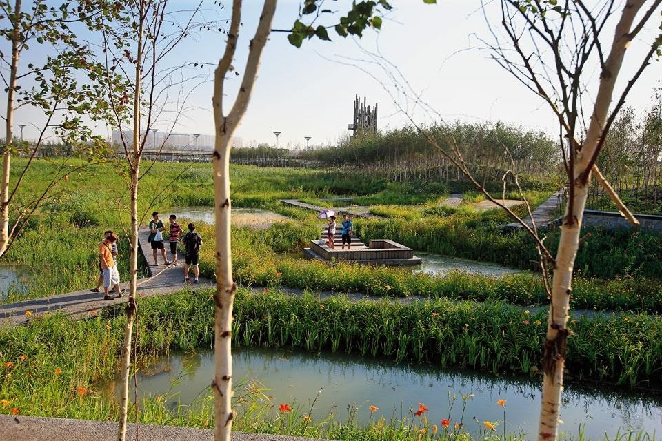 A network of walkways
is built into the pond-andmound
ring allowing visitors
to observe the wetland,
which Turenscape planted
with native marsh grasses
and silver birch trees.
Platforms and viewing towers
lend panoramic views of the
surroundings