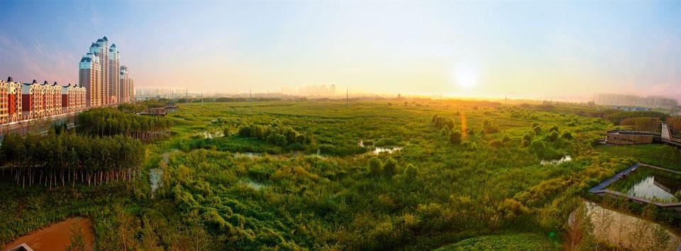 The cross-disciplinary
project is an urban stormwater
park and a national
nature reserve. It filters
storm water from the city and
protects against flooding. The
new urban district of Qunli
New Town was zoned with
only 16.4% of developable land
as permeable green space