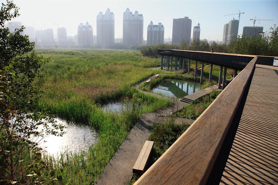 The elevated walkway
around Qunli National Urban
Wetland. This storm-water
project on the eastern
outskirts of Haerbin City in
northeast China is a national
reserve. The 34.2 hectares
of former wetland are
surrounded on four sides by
roads and dense development.
32 million m2 of buildings will
be constructed here in the
coming two decades