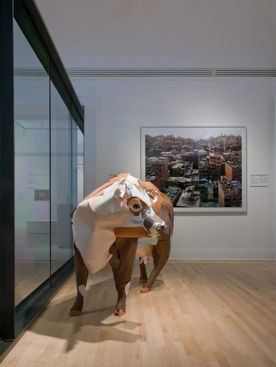<em>Imperfect Health: the Medicalization of Architecture</em>, installation view. Cow by Andy Byers. Photo © CCA, Montréal