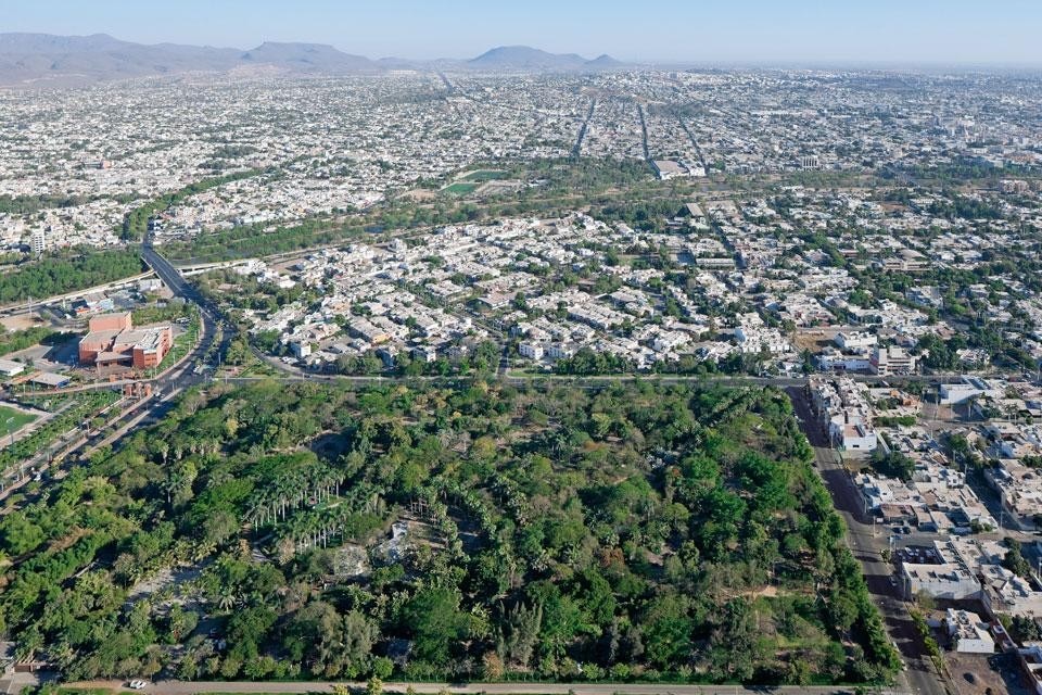 Founded in 1986 by Carlos
Murillo Depraect, the park
covers an area of about 10
acres and houses more than
1,000 different plant species.
With a population of over
one million inhabitants, the
Mexican city of Culiacán is
located 80 km inland from the
Pacific Ocean. 