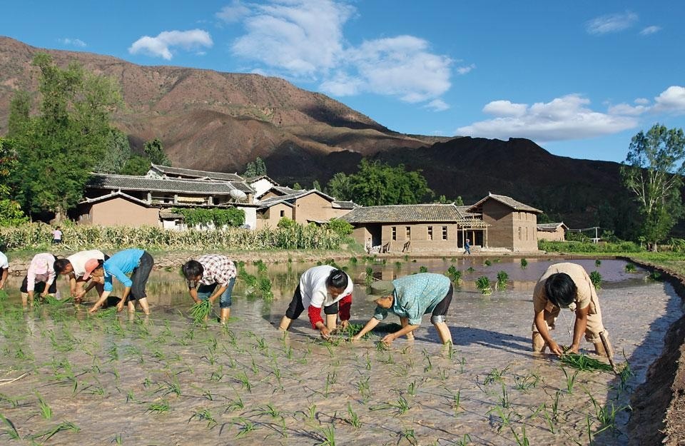 Inhabitants at work in the rice paddies with the new civic centre visible in the background. The two storey construction has a curvilinear plan that local residents thought would be impossible to realise. However, the researchers demonstrated that rammed-earth technology can also be applied in buildings with nontraditional designs