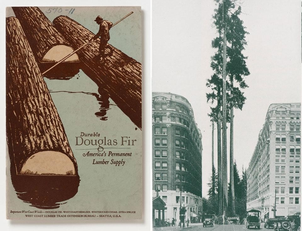 Left, cover of <em>Durable Douglas Fir, America’s Permanent Lumber Supply</em>, by Bror L. Grondal. (Seattle: West Coast Lumber Trade Extension Bureau, 1926), page 16-17. CCA Collection. Right, photomontage comparing the Douglas fir to a 10-storey building, from <em>Durable Douglas Fir, America’s Permanent Lumber Supply</em>