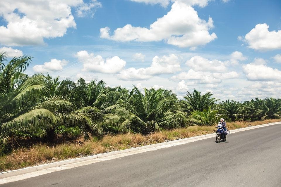 A worker travelling along
the Manta-Manaus highway
between Yamanunka and
Puerto Providencia, in the
vicinity of Palmeras de
Ecuador