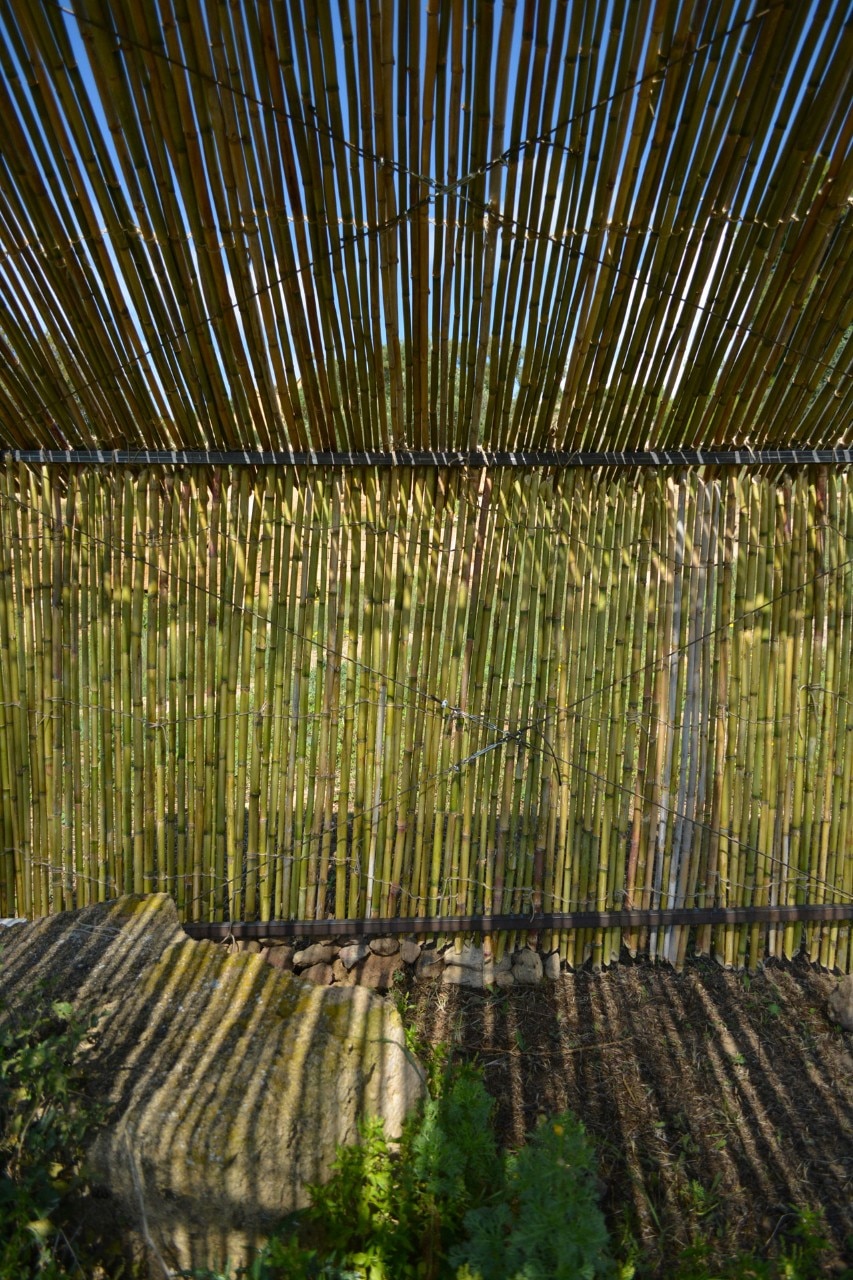 Bamboo Shelter, Palermo