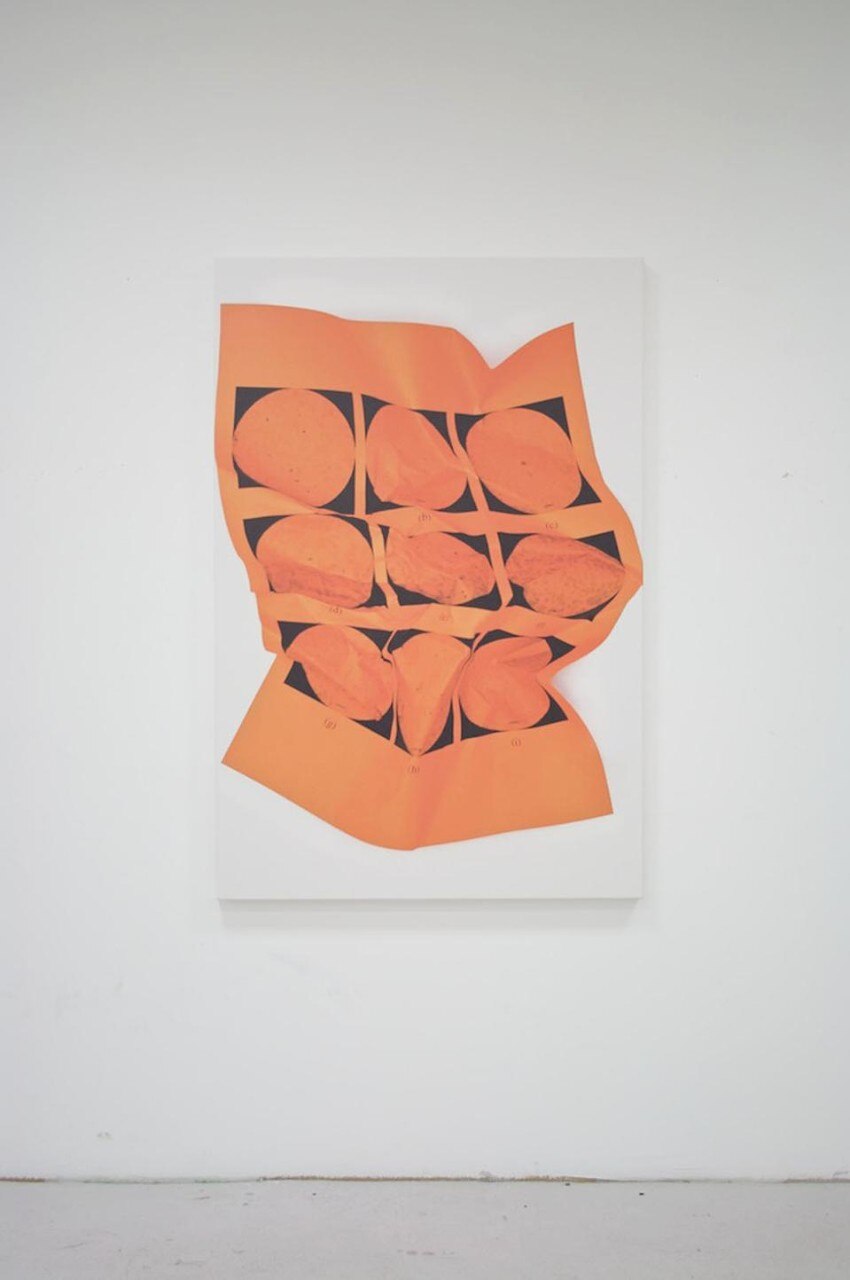 Riccardo Previdi, <i>Test (Orange Bacterio)</i>, 2010.
UV-print on canvas, 150 x 100 cm, unique (courtesy: Sommer & Kohl, Berlin and Galleria Francesca Minini, Milano).
