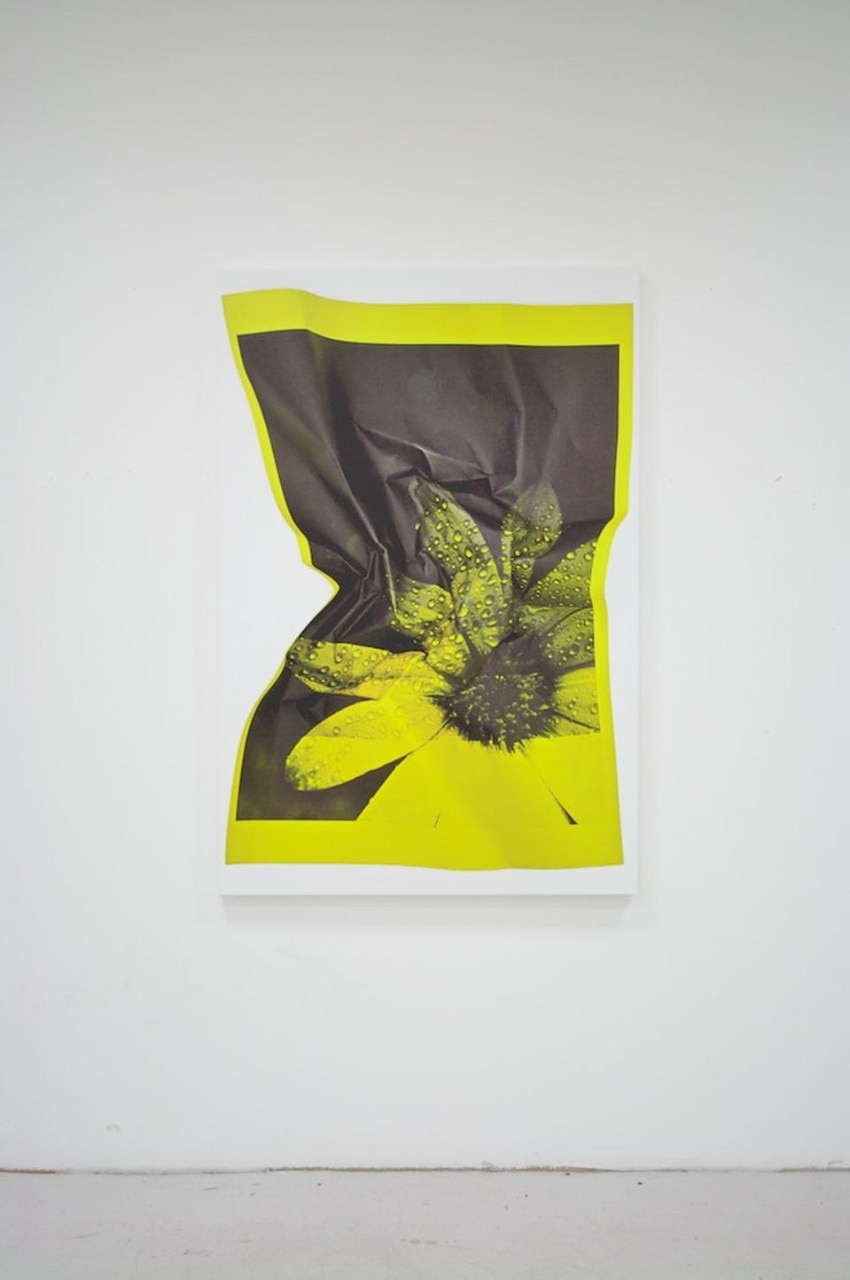 Riccardo Previdi, <i>Test (Yellow Flower)</i>, 2010. 
UV-print on canvas, 150 x 100 cm, unique (courtesy of Sommer & Kohl, Berlin e Galleria Francesca Minini, Milano).
