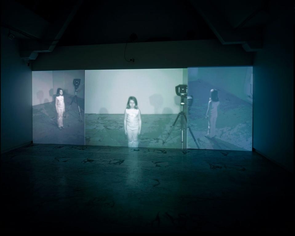 Carsten Höller, <i>Three-fold Delayed Infrared Room</i>, 2004
© 2010 Artists Rights Society (ARS), New York/VG Bild-Kunst, Bonn, Courtesy Esther Schipper, Berlin, Photo: Attilio Maranzano
