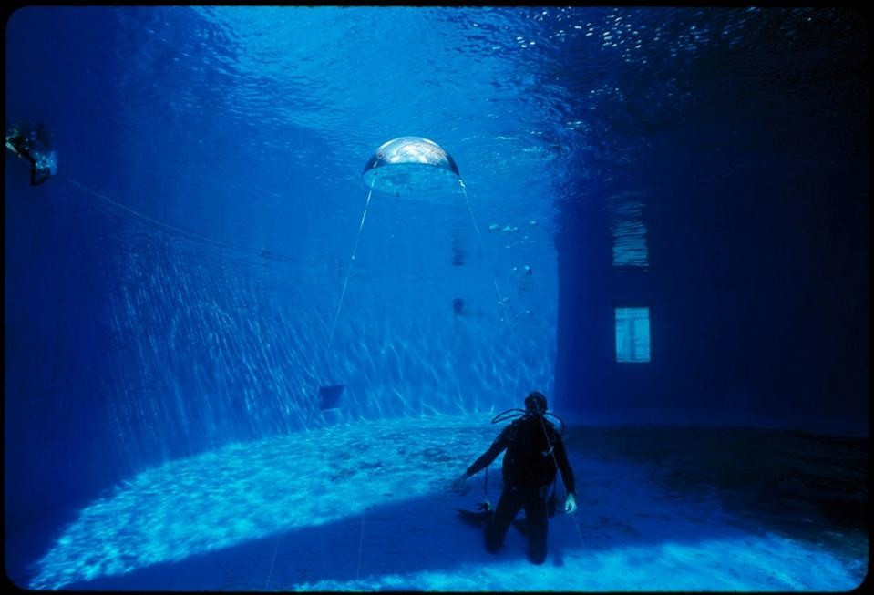 made of air, aquarium of Coney Island, New York, 2010 (courtesy of the artists).