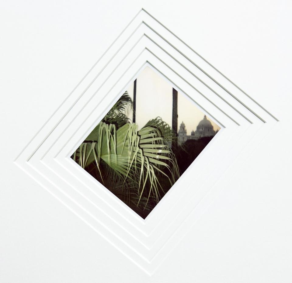 Cyprien Gaillard, <i>Indian Palm Study I,</i> 2011. Collection of 9 Polaroids. Supported by Sprüth Magers, Berlin / Londres, Bugada & Cargnel, Paris and the participation of Centre Pompidou, Paris