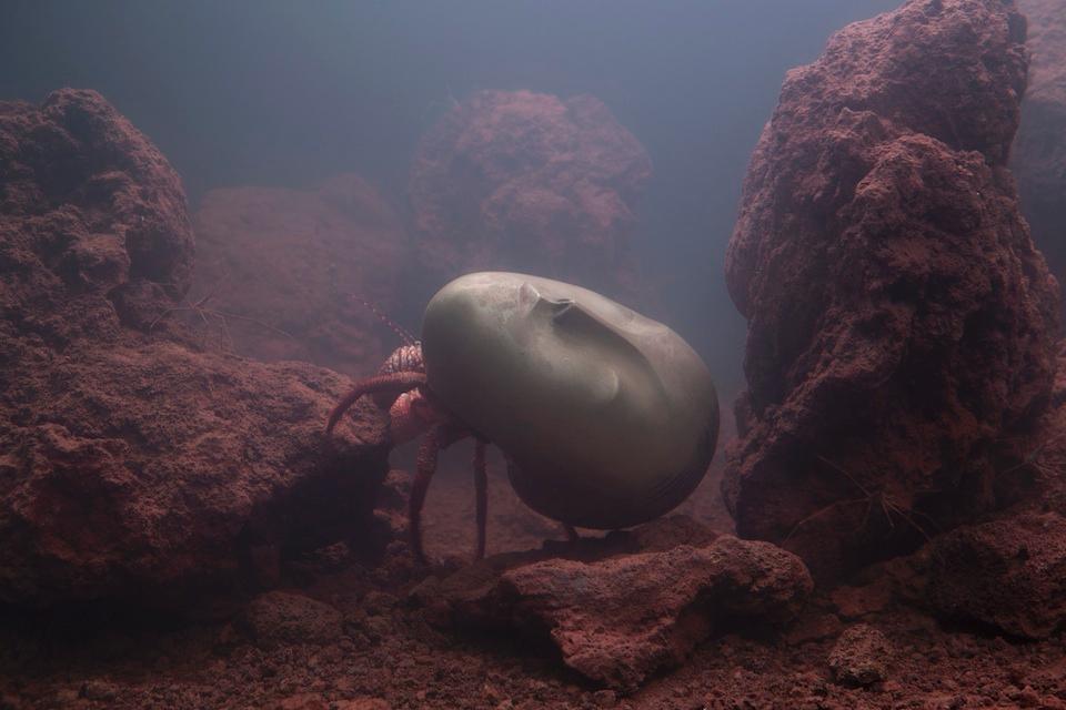 Pierre Huyghe: the moment of suspension