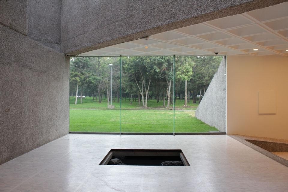Top: Blind fish. Courtesy of Museo Tamayo. Above: Pierre Huyghe, <em>El día del ojo</em> ("The day of the eye"), installation view of the three-part exhibition in the Museo Tamayo, Mexico City. Photo by Melissa Dubbin