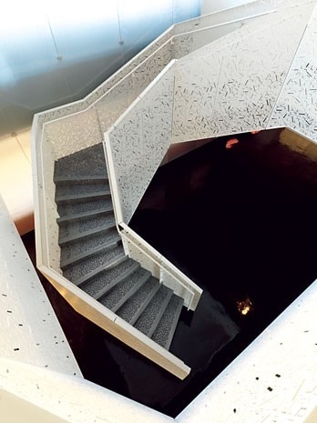 The perforated pattern of the
staircase is an interpretation of
geometric and mathematic principles
used in the field of computational
biochemistry