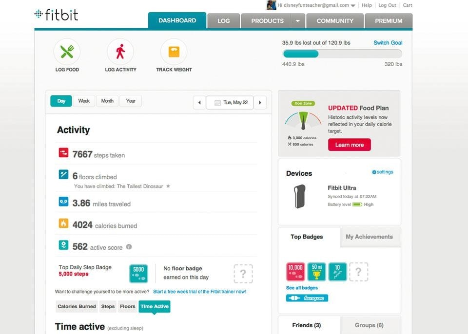 The web interface of Fitbit