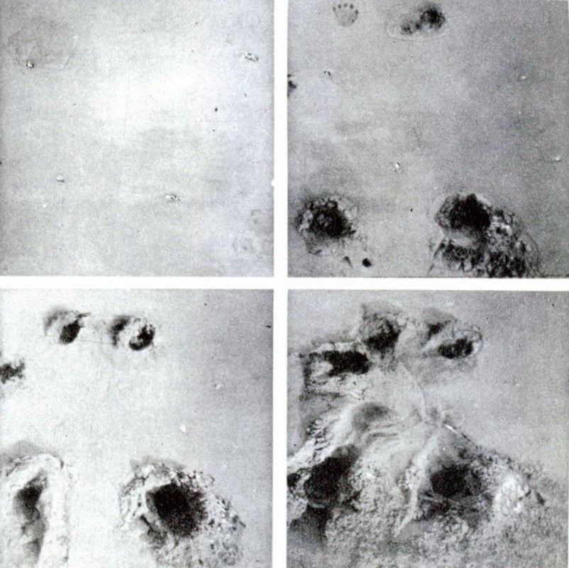Vito Acconci, marks left on the sand, from the pages of Domus 509 / April 1972