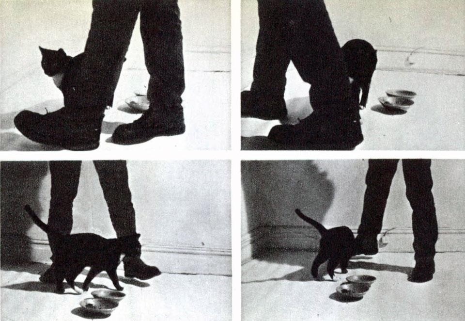 Vito Acconci, <em>Zone</em>, from the pages of Domus 509 / April 1972