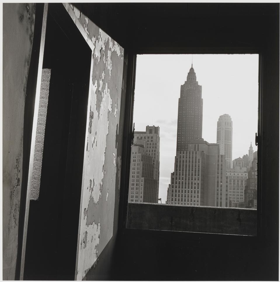 Danny Lyon, <i>View south from 100 Gold Street,</i> from <i>The Destruction of Lower Manhattan,</i> 1967, printed 2007. Princeton University Art Museum, gift of M. Robin Krasny. © Danny Lyon / Magnum / photo: Bruce M. White.
