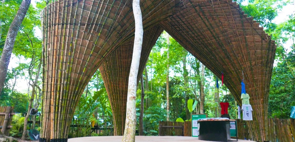 Atelier Cole, Bamboo Trees, Luang Prabang, Laos
