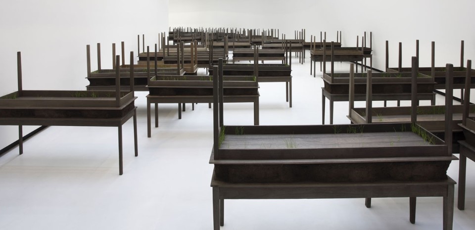 Doris Salcedo, <i>Plegaria Muda</i>(detail), 2008–10. Wood, concrete, earth, and grass in 122 parts, dimensions variable. Courtesy Alexander and Bonin, New York