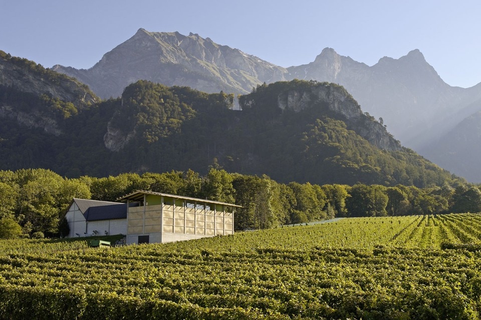 Bearth & Deplazes Architekten, Winery Gantenbein