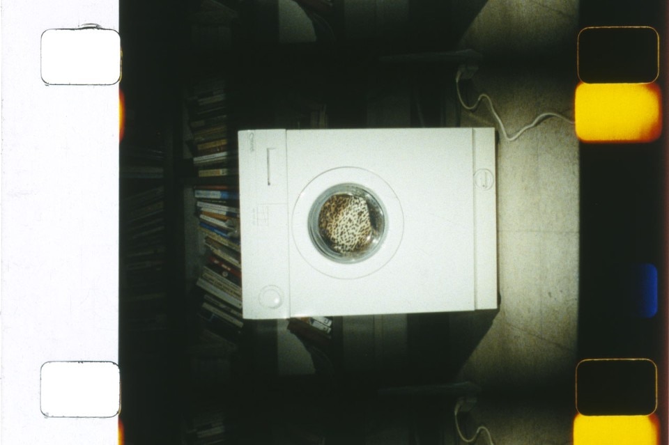  João Maria Gusmão and Pedro Paiva, <i>Camera test (washing machine)</i>, 2014-15. 16mm film, color, no sound. Commisioned by Redcat and supported by Kadist Art Foundation and Taguchi Art Collection