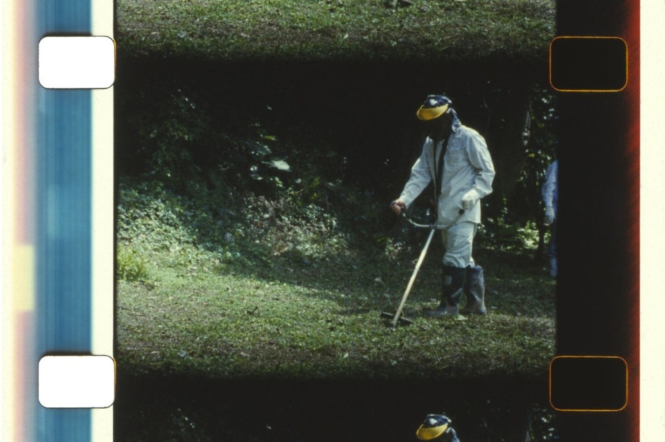  João Maria Gusmão and Pedro Paiva, <i>Cleaning Marty's family graveyard</i>, 2015. 16mm film, color, no sound. Commisioned by Redcat and supported by Kadist Art Foundation and Taguchi Art Collection