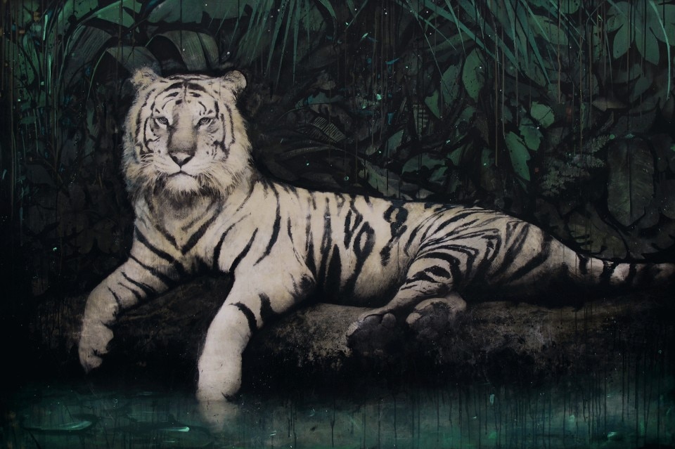 David Morago, Tigre, "Animalista", 2016