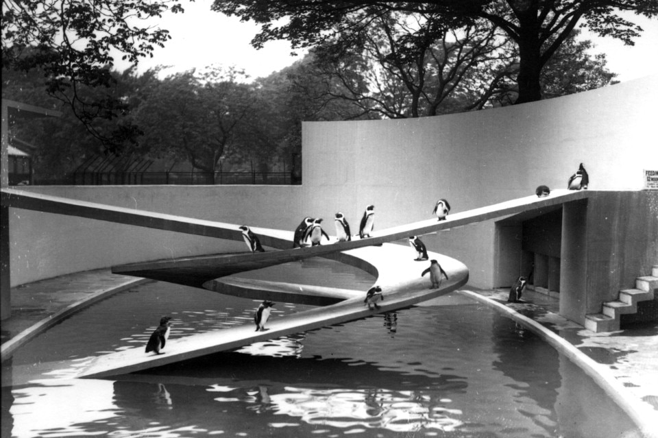 Penguin Pool, London Zoo, 1934. © ZSL