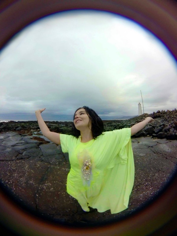 Björk, Stonemilker, 2015