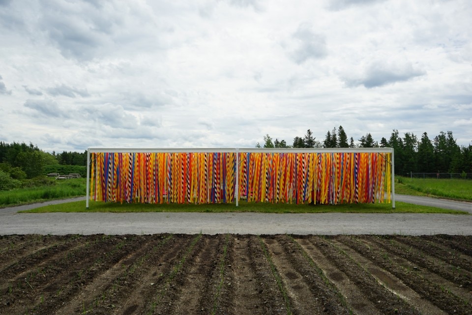 Img.12 Julia Jamrozik and Coryn Kempster, Vertical Line Garden, Grand-Métis, Québec, 2017