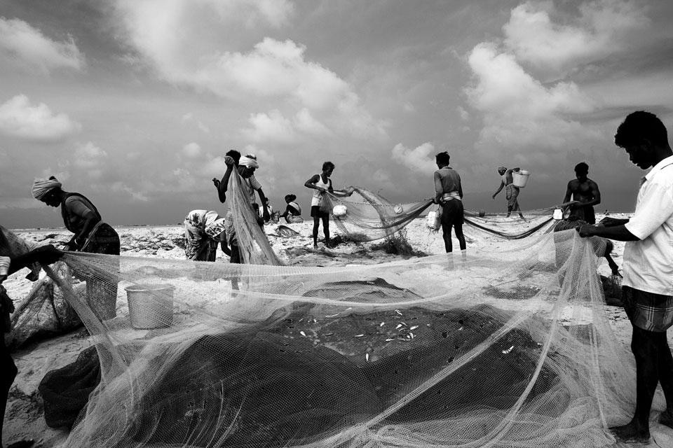 Dhanushkodi,Tamil Nadu, India. Fishermen sort their day’s catch, which would then be shared among thirty of them
