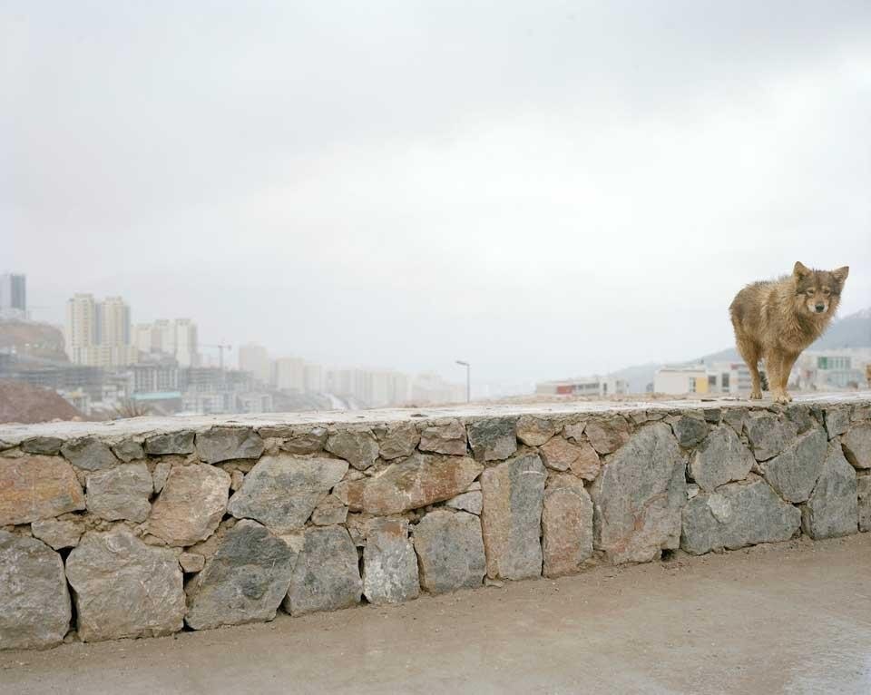 Paola de Pietri, <em>Istanbul New Stories</em> photographic series