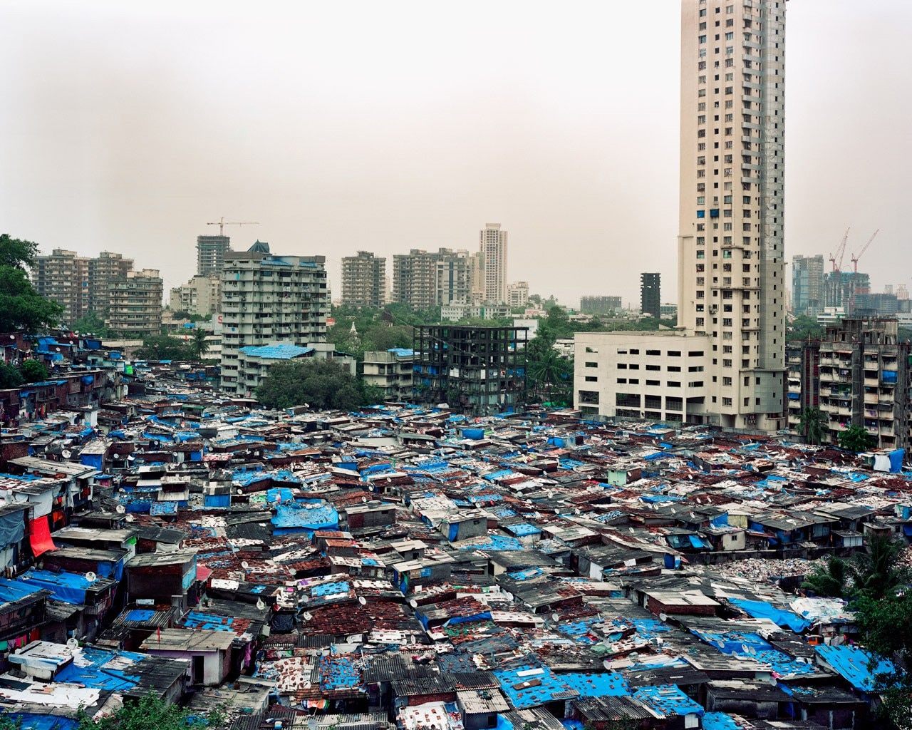 Alicja Dobrucka, Life is on a new high, Mumbai