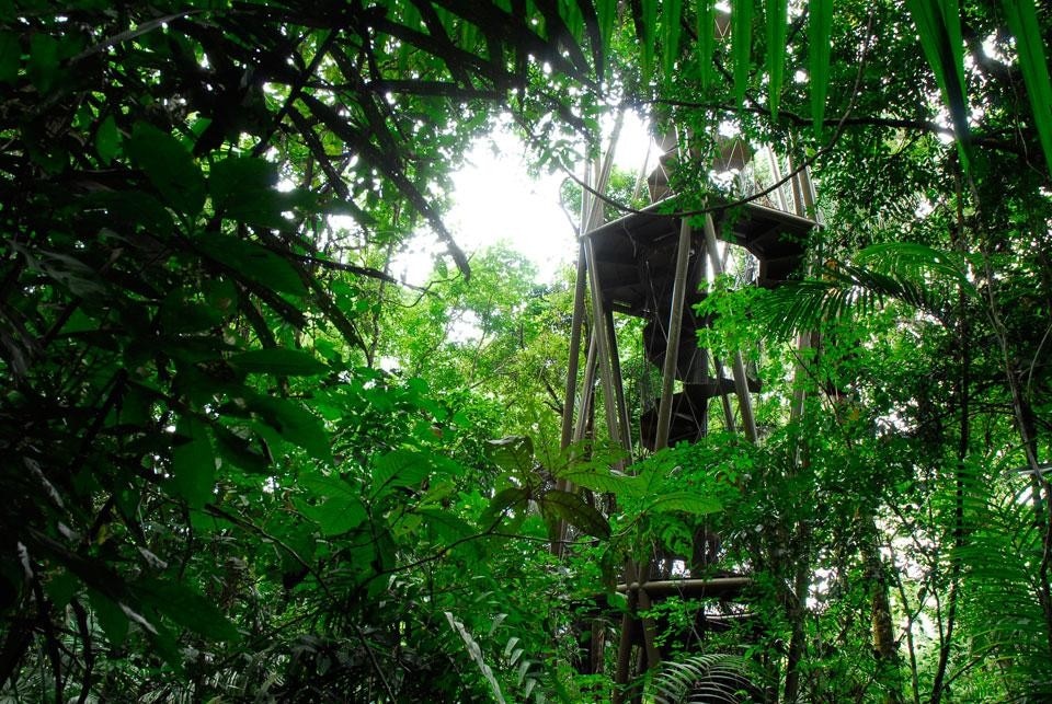 Il Panama Rainforest Discovery Center, a circa trenta chilometri dal cuore della città di Panama, è stato ideato dalla Fundación Avifauna Eugene Eisenmann e progettato dall’architetto panamense Patrick Dillon