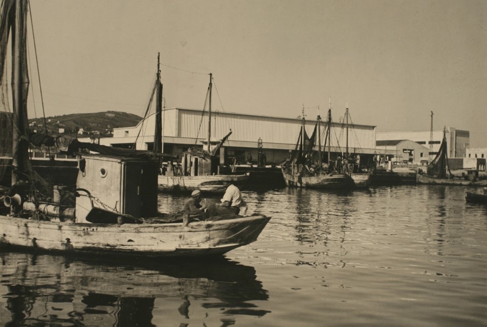 ACS Gaetano Minnucci, Mercato del Pesce di Ancona 1957