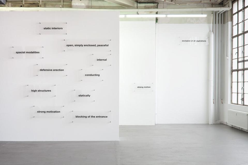 Monica Bonvicini, <i>Genital Modes</i>, 2010. Plexiglass con iscrizioni nere, spille in metallo, 23 pezzi, dimensioni varie.