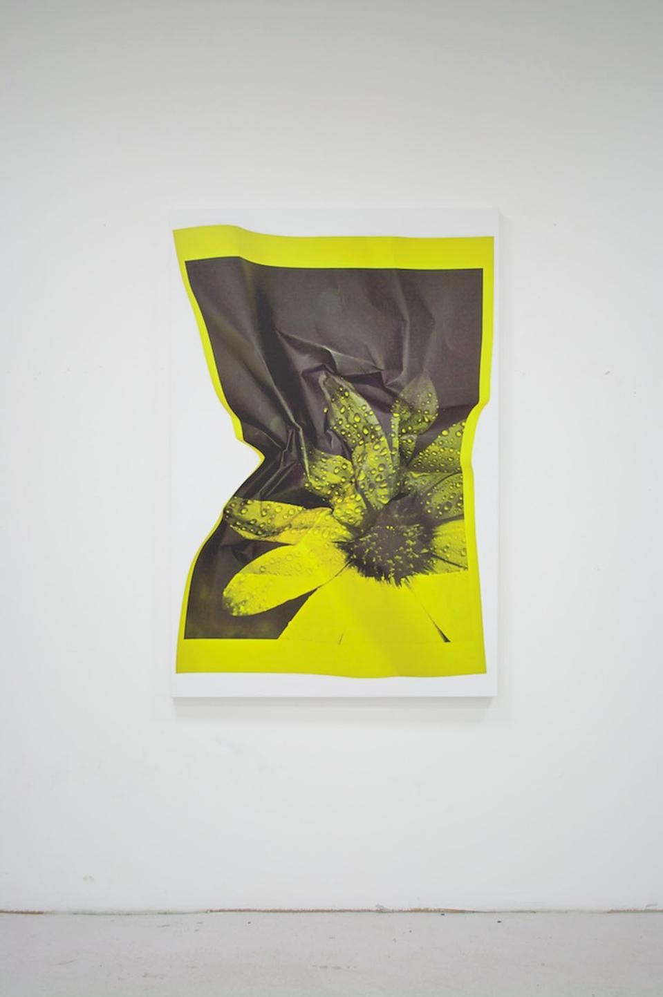 Riccardo Previdi, <i>Test (Yellow Flower)</i>, 2010. 
Stampa-UV su tela, 150 x 100 cm, pezzo unico (per gentile concessione Sommer & Kohl, Berlin e Galleria Francesca Minini, Milano).
