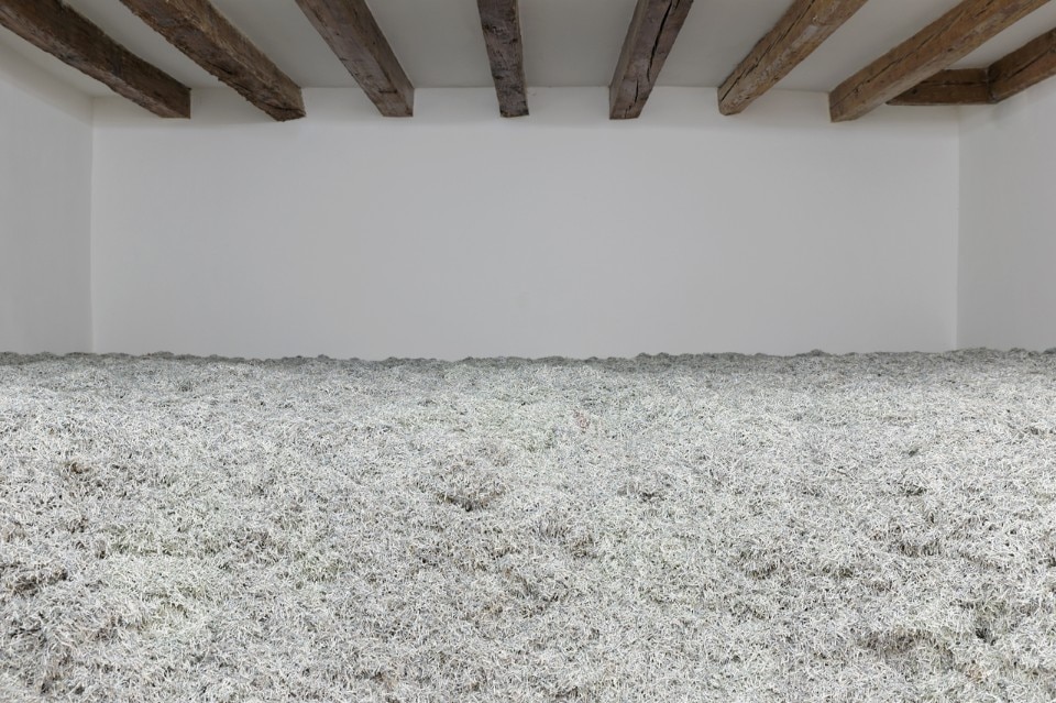 Christodoulos Panayiotou, <i>Two Days After Forever</i>, Cyprus Pavilion, Venice Art Biennale, 2015