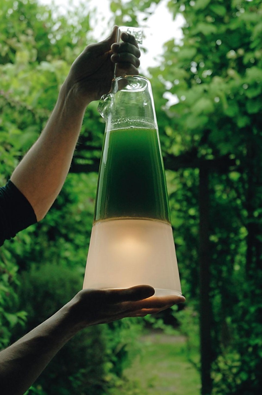 Mike Thompson, <i>Latro, 
Algae Powered Lamp</i>.
All’utente della lampada alimentata da alghe viene richiesto di trattare le alghe come un cucciolo da accudire
