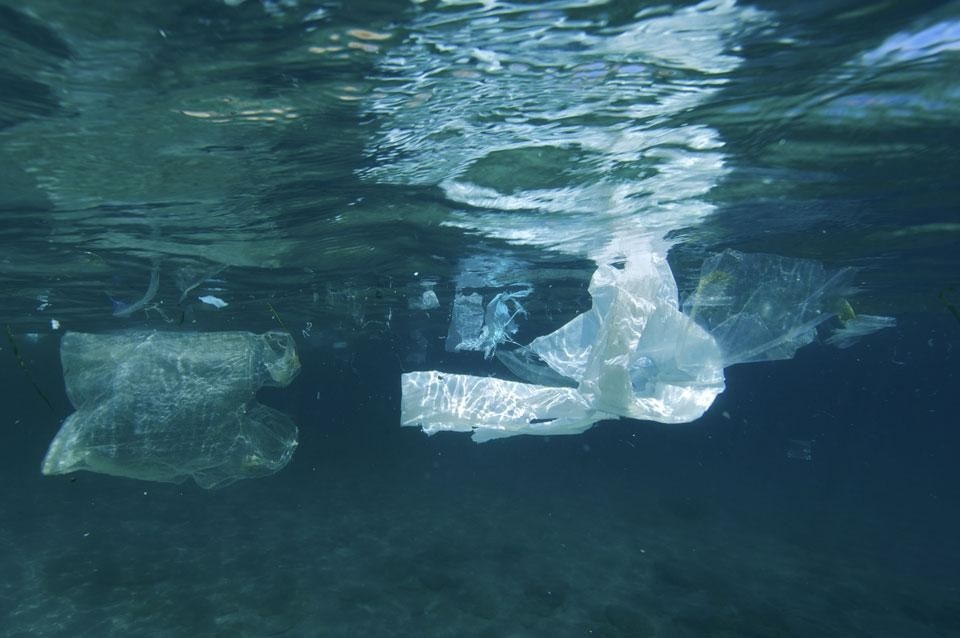 Sacchetti di plastica che galleggiano nel mare, Grecia, 2008. Photo Gavin Parson, © Gavin Parson/Marine Photobank
