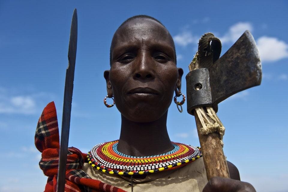 African Heroes - Domus