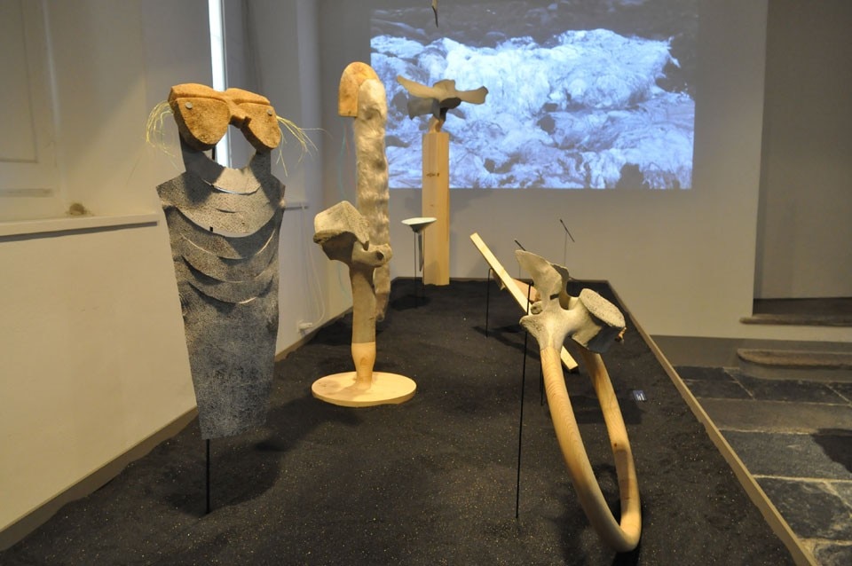 The Iceland Whale Bone Projects