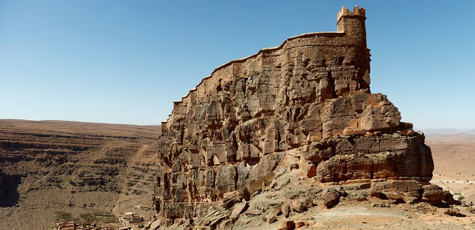 Salima Naji: Oasis
