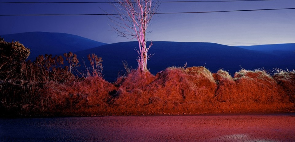 Gerard Byrne, “A Country Road. A tree. Evening.”, Campari Wall