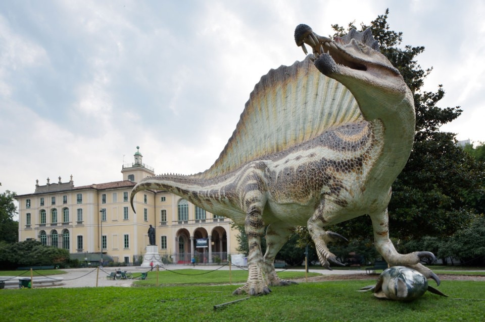 “Spinosaurus. Il Gigante perduto del Cretaceo”, vista dell'installazione a Palazzo Dugnani