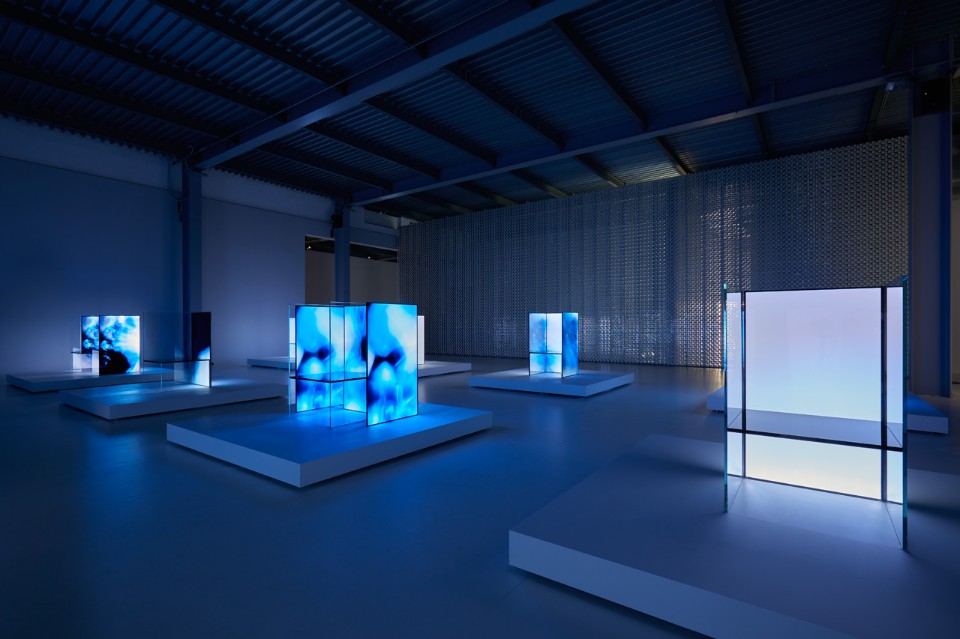 Tokujin Yoshioka, Senses of the Future, veduta dell'installazione a Superstudio Più, 2017