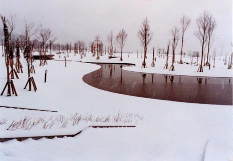 Tsunan Central Park by Yoshiki Toda